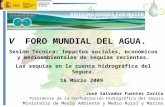 V FORO MUNDIAL DEL AGUA. Sesión Técnica: Impactos sociales, económicos y medioambientales de sequías recientes. Las sequías en la cuenca hidrográfica del.