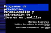 Programas de prevención, rehabilitación y reinserción de jóvenes en pandillas Marlon Carranza Instituto Universitario de Opinión Pública (IUDOP) Universidad.