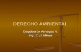 DERECHO AMBIENTAL Dagoberto Venegas V. Ing. Civil Minas.
