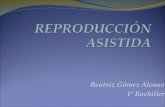 Beatriz Gómez Alonso 1º Bachiller. La reproducción asistida, o también llamada fecundación artificial, se constituye de dos métodos que ayudan a las personas.