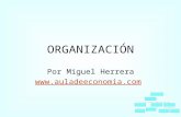 ORGANIZACIÓN Por Miguel Herrera .