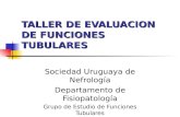 TALLER DE EVALUACION DE FUNCIONES TUBULARES Sociedad Uruguaya de Nefrología Departamento de Fisiopatología Grupo de Estudio de Funciones Tubulares.