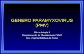 GENERO PARAMYXOVIRUS (PMV) Microbiología II Departamento de Microbiología FMVZ Dra. Virginia Bolaños de Corzo.
