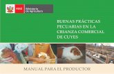 Manual Del Cuy 2012