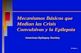 B-Slide 1 Mecanismos Básicos que Median las Crisis Convulsivas y la Epilepsia American Epilepsy Society.