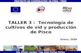 TALLER 3 : Tecnología de cultivos de vid y producción de Pisco Enero, 2009 PROYECTO DE COOPERACIÓN UE-PERU / PENX Ing. Edwin Landeo / Ing. Juan Carlos.
