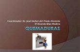 Coordinador: Dr. Jos© Nu±ez del Prado Alcoreza IP Ricardo Blas Medina