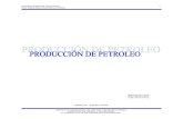 PRODUCCION DE PETROLEO.pdf