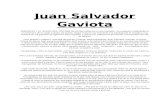 Juan Salvador Gaviota-richard Bach