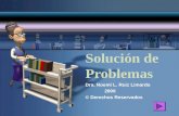 Solución de Problemas Dra. Noemí L. Ruiz Limardo 2006 © Derechos Reservados.
