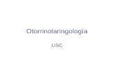 Otorrinolaringología USC. I.- Concepto y estado actual de la Otorrinolaringología. Áreas de Conocimiento. Programas de formación de la especialidad. Prof.
