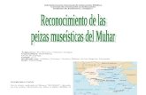 Reconocimiento y Evaluación Histórica de las Piezas Museísticas del MUHAR
