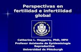 Perspectivas en fertilidad e infertilidad global Catherine L. Haggerty, PhD, MPH Profesor Asistente de Epidemiología Reproductiva Universidad de Pittsburgh.