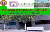 REHABILITACION PULMONAR Mecanismos de Mejoría. REHABILITACION PULMONAR Por Rodolfo Posadas Valay TRATAMIENTO CONVENCIONAL (Standard care) DE PACIENTES.