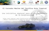 El Corredor Marino del Pacífico Este Tropical - CMAR Una iniciativa regional para el uso sostenible de la biodiversidad Taller Inter-regional sobre Planificación.