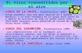 B) Virus transmitidos por el aire VIRUS DE LA GRIPE. Ortomixovirus (ARN) Gripe española (por ser país neutral en I Guerra Mundial) o la Gran Pandemia de.