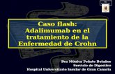 Caso flash: Adalimumab en el tratamiento de la Enfermedad de Crohn Dra Mónica Peñate Bolaños Servicio de Digestivo Hospital Universitario Insular de Gran.