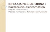 INFECCIONES DE ORINA : bacteriuria asintomática Raquel Tena Barreda Médico de medicina familiar y comunitaria.