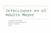 Infecciones en el Adulto Mayor Dr. Alberto Flórez Granda Infectología – Medicina Tropical HE Grau – ESSALUD 2007.