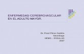ENFERMEDAD CEREBROVASCULAR EN EL ADULTO MAYOR. Dr. Proel Pérez Galdós Neurólogo HEMG – ESSALUD 2007.