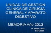 UNIDAD DE GESTION CLINICA DE CIRUGIA GENERAL Y APARATO DIGESTIVO MEMORIA Año 2012 Dr. Alberto Colina. Enero.2013 Enero.2013.