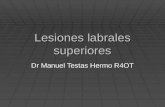 Lesiones labrales superiores Dr Manuel Testas Hermo R4OT.