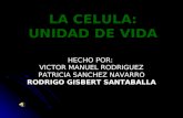 LA CELULA: UNIDAD DE VIDA HECHO POR: VICTOR MANUEL RODRIGUEZ PATRICIA SANCHEZ NAVARRO RODRIGO GISBERT SANTABALLA.