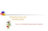 PROYECTOS DE INVERSION Econ. Grimaldo Querevalú Suárez.