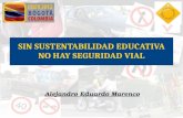 SIN SUSTENTABILIDAD EDUCATIVA NO HAY SEGURIDAD VIAL Alejandro Eduardo Marenco.