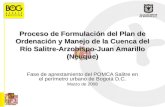 Proceso de Formulación del Plan de Ordenación y Manejo de la Cuenca del Río Salitre-Arzobispo-Juan Amarillo (Neuque) Fase de aprestamiento del POMCA Salitre.