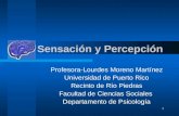 1 Sensación y Percepción Profesora-Lourdes Moreno Martínez Universidad de Puerto Rico Recinto de Río Piedras Facultad de Ciencias Sociales Departamento.