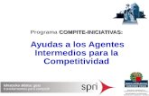 COMPITE-INICIATIVAS: Programa COMPITE-INICIATIVAS: Ayudas a los Agentes Intermedios para la Competitividad.
