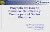 Proyecto del Gas de Camisea: Beneficios y Costos para el Sector Eléctrico Ing. Alfredo Dammert Lira Presidente del OSINERG Mayo de 2004.