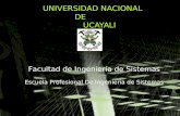 UNIVERSIDAD NACIONAL DE UCAYALI Facultad de Ingeniería de Sistemas Escuela Profesional De Ingenieria de Sistemas.
