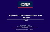 Programa Latinoamericano del Carbono PLAC Jorge Barrigh Dirección de Desarrollo Sostenible Corporación Andina de Fomento.