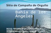 Bahía de los Ángeles Nallely Manriquez Bello Coordinadora de Campaña Christian Portillo Asesor Pesquero.