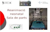 Reanimació neonatal Sala de parts Pediatria dels Pirineus,S.C.C.L.P.