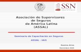 Seminario de Capacitación en Seguros ASSAL - IAIS Asociación de Supervisores de Seguros de América Latina (ASSAL) Buenos Aires Noviembre 2005.