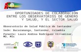 Observatorio de Salud Pública de Santander OPORTUNIDADES DE COLABORACIÓN ENTRE LOS OBSERVATORIOS DE GÉNERO Y SALUD, Y EL SECTOR SALUD Observatorio de Salud.