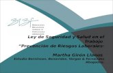 Ley de Seguridad y Salud en el Trabajo Prevención de Riesgos Laborales· Martha Girón Llanos Estudio Berninzon, Benavides, Vargas & Fernández Abogados.