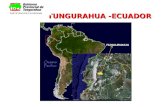 TUNGURAHUA -ECUADOR PARTICIPACIÓN CIUDADANA TUNGURAHUA.