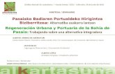 Pasaiako Badiaren Portualdeko Hirigintza Biziberritzea: Alternatiba osakorra lantzen Regeneración Urbana y Portuaria de la Bahía de Pasaia: Trabajando.