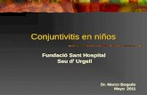 Conjuntivitis en niños Fundació Sant Hospital Seu d Urgell Dr. Marco Bogado Mayo 2011.