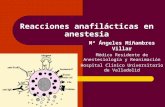 Reacciones anafilácticas en anestesia Mª Ángeles Miñambres Villar Médico Residente de Anestesiología y Reanimación Hospital Clínico Universitario de Valladolid.