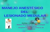 MANEJO ANESTÉSICO DEL LESIONADO MEDULAR Esther Conejo Jorge Médico Residente de Anestesiología y Reanimación Hospital Clínico Universitario de Valladolid.