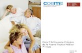 Enero de 2013 Guía Práctica para Colegios de la Nueva Receta Médica Privada.