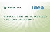 1 EXPECTATIVAS DE EJECUTIVOS - Medición Junio 2010 -