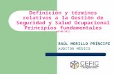 Definición y términos relativos a la Gestión de Seguridad y Salud Ocupacional Principios fundamentales 05/06/2012 RAÚL MORILLO PRÍNCIPE AUDITOR MÉDICO.
