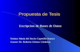Propuesta de Tesis Encripcion de Bases de Datos Tesista: María del Rocío Capetillo Ramos Asesor: Dr. Roberto Gómez Cárdenas.