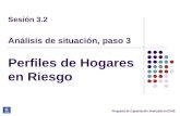 Programa de Capacitación Avanzada en ESAE Sesión 3.2 Análisis de situación, paso 3 Perfiles de Hogares en Riesgo.